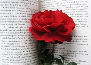a book and a rose